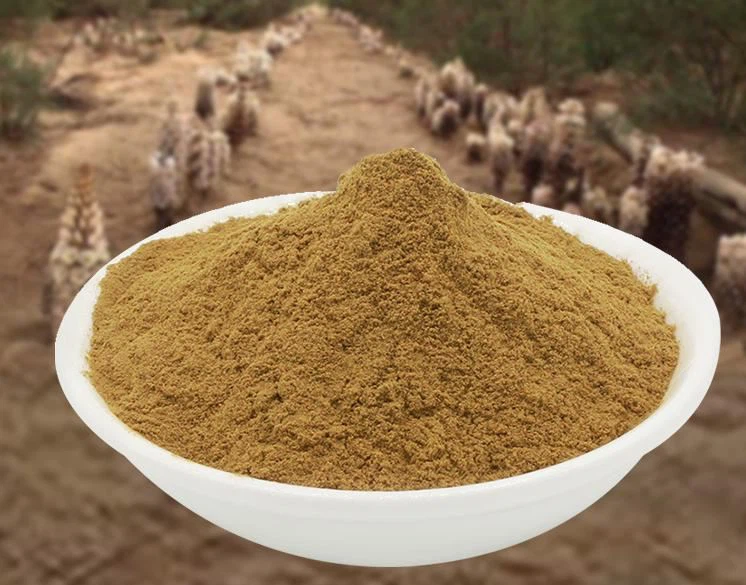 Cistanche tubulosa Supplements1