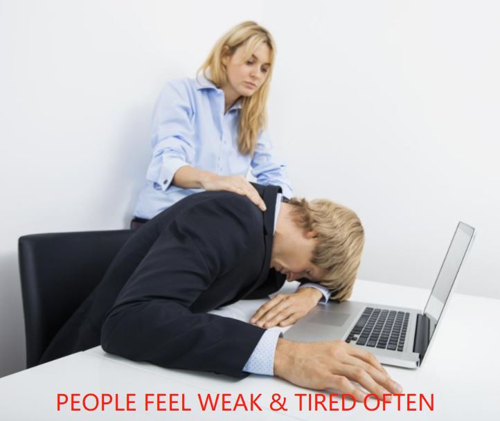 cistanche tubolosa health benefits