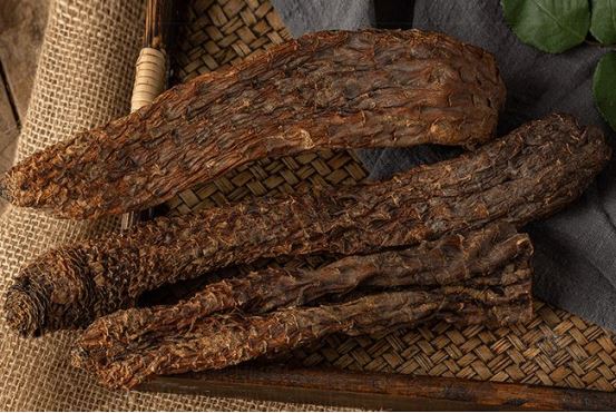 cistanche can improve memory cistanche can improve memory