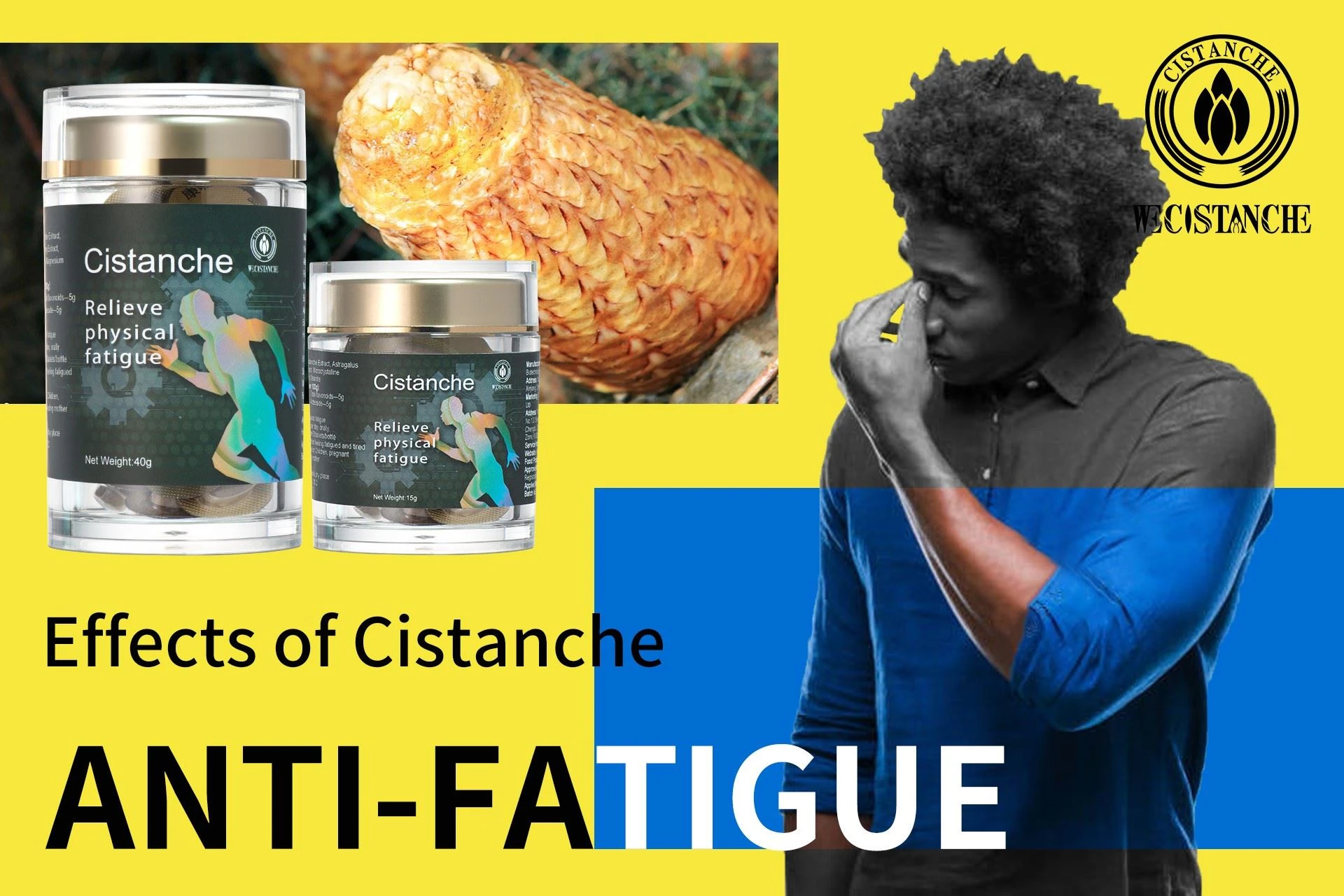 Modern pharmacology proves that Cistanche can relieve physical fatigue Modern pharmacology proves that Cistanche can relieve physical fatigue
