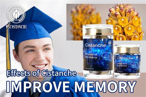 cistanche herb can improve memory 