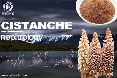 treatment of diabetic nephropathy