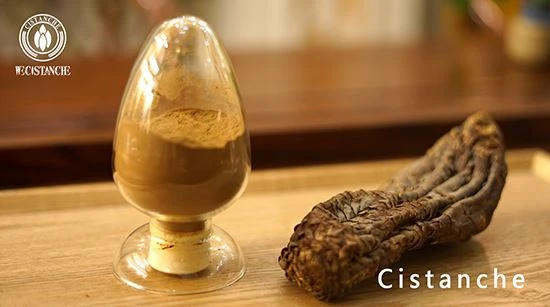 Chinese Medicinal herb--Cistanche, is good for anti-osteoporosis