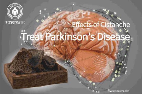 cistanche health benefits：anti-Alzheimer's disease
