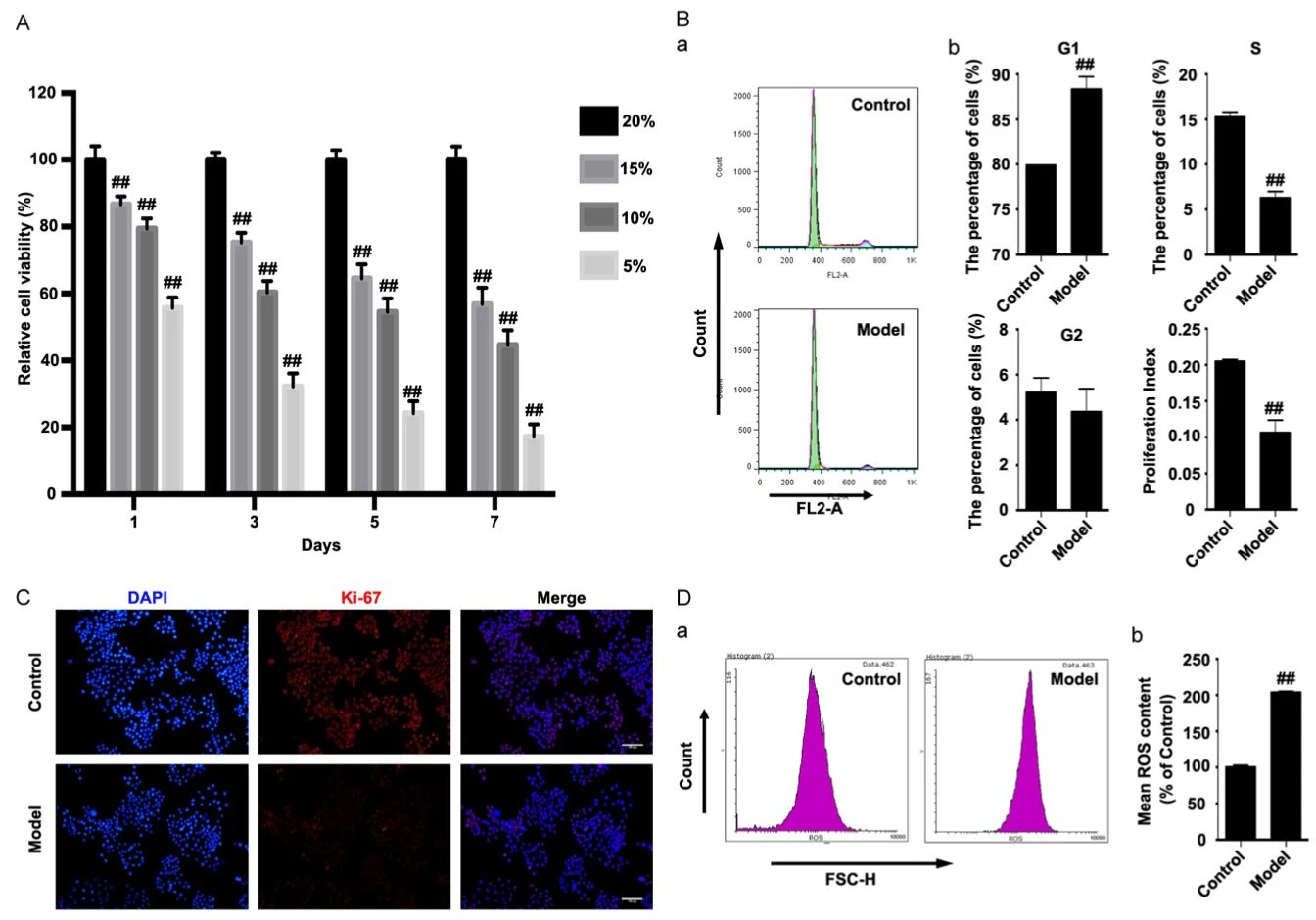 Figure 1. Effects of hypoxia on GC-1 cells.