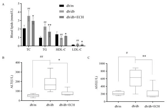 Fig. 3. The serum related indexes in the mice of each group.