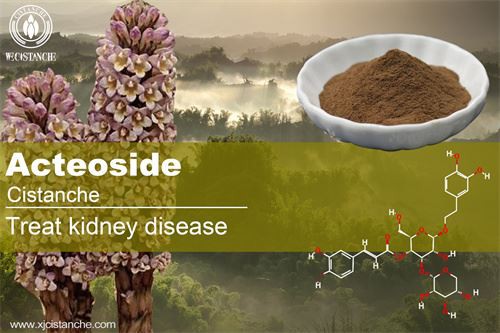 cistanche treat kidney disease so to increase sexual ability