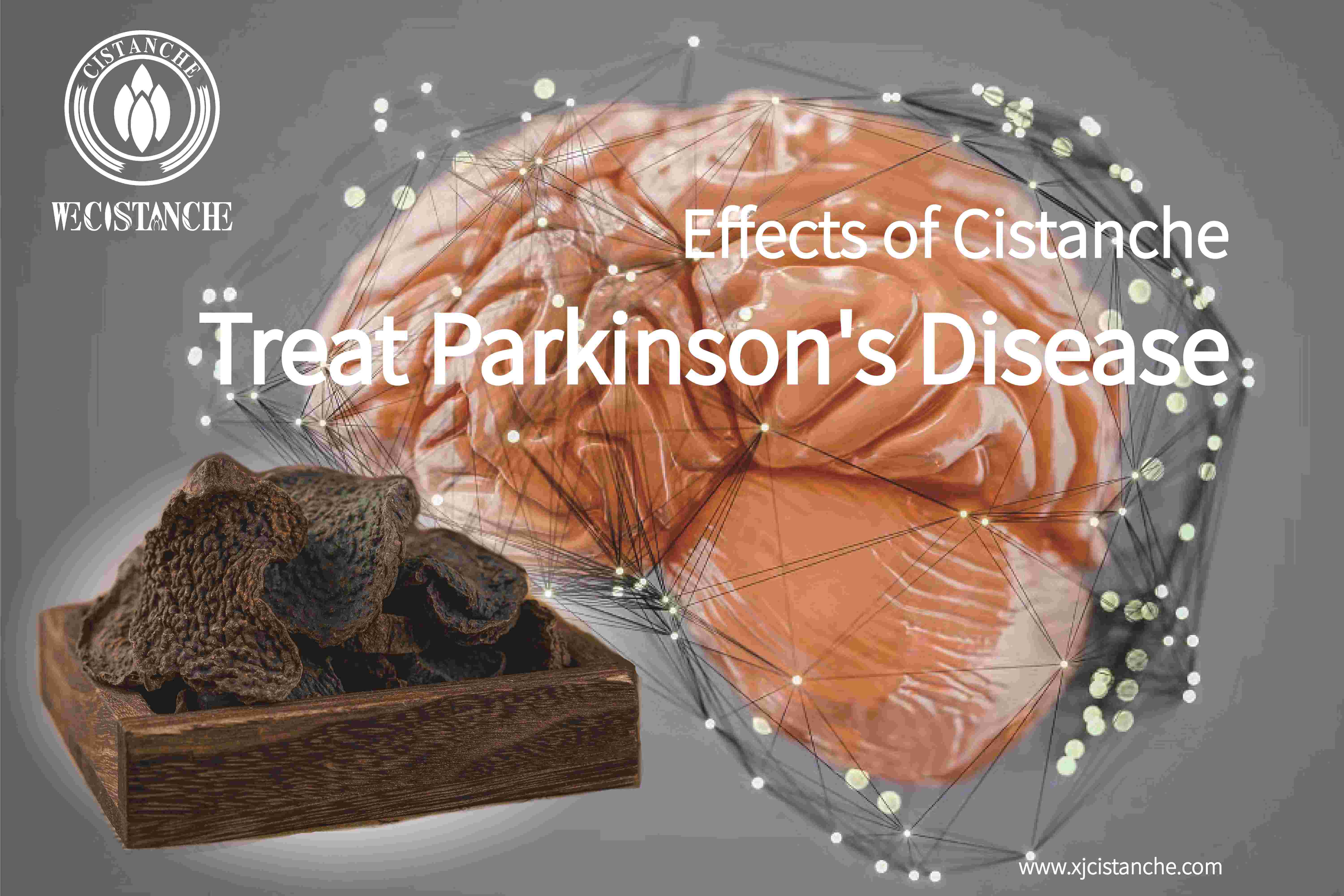 the best herb for Parkinson's disease