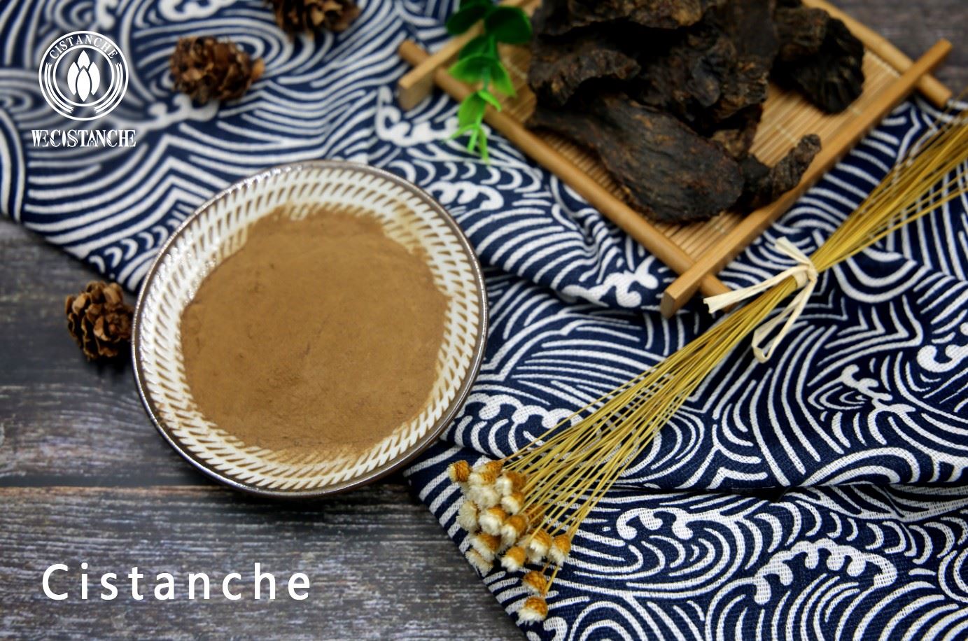 Cistanche extract Cistanche extract