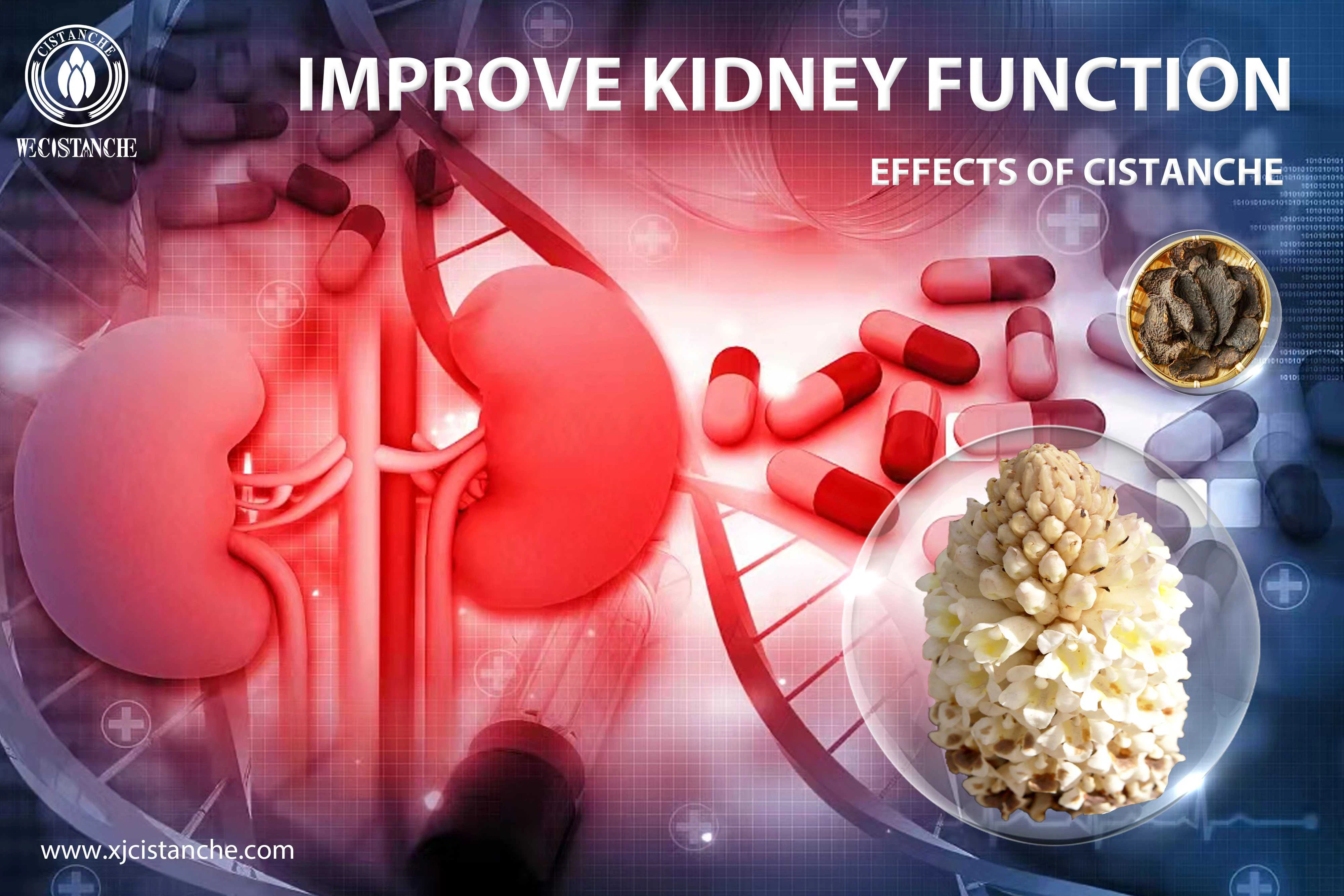 best kidney supplement
