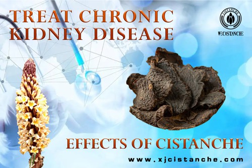 treatment for ckd treatment for ckd
