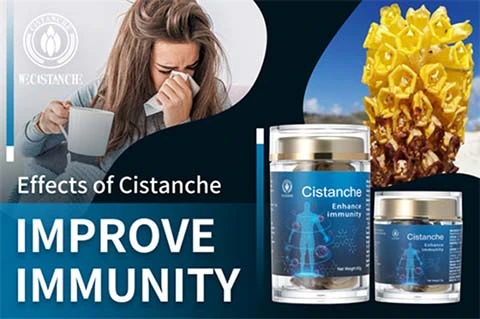 Cistanche Improving immune system
