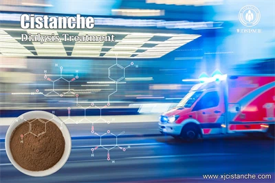 cistanche supplement 