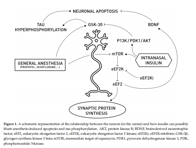 Figure 1 Figure 1