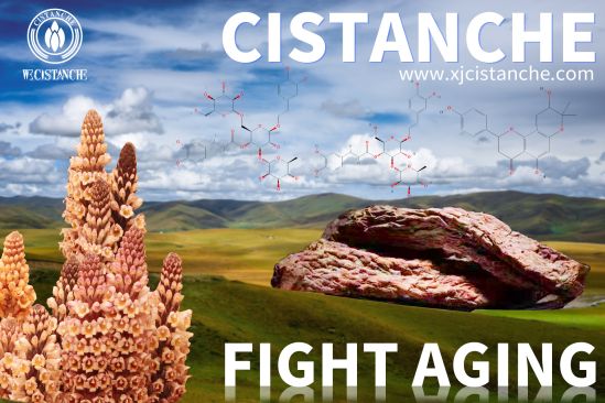 cistanche anti-aging treatment cistanche anti-aging treatment