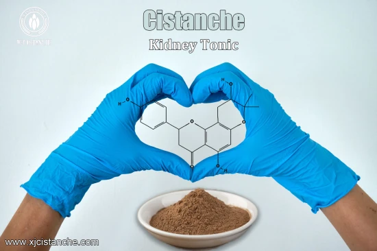 CISTANCHE EXTRACT WITH 25% ECHINACOSIDE AND 9% ACTEOSIDE FOR KIDNEY