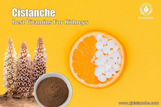 CISTANCHE EXTRACT WITH 25% ECHINACOSIDE AND 9% ACTEOSIDE FOR KIDNEY