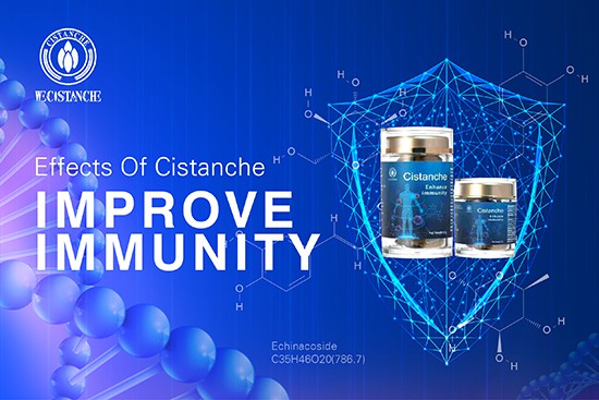 Cistanche deserticola-improve immunity (5)