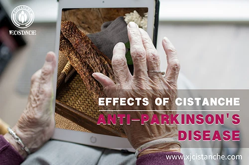 Chinese herb cistanche-Anti Parkinson's disease (6)
