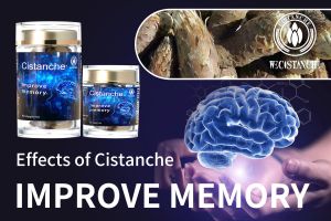 supplements to boost memory
