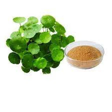 Poudre d'extrait de Centella Asiatica