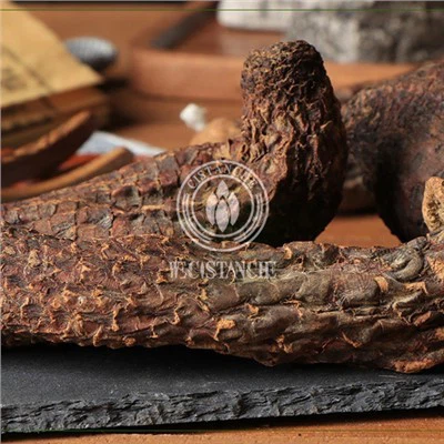 Cistanche pour améliorer la fonction sexuelle