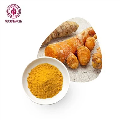 Curcumine 95 Poudre