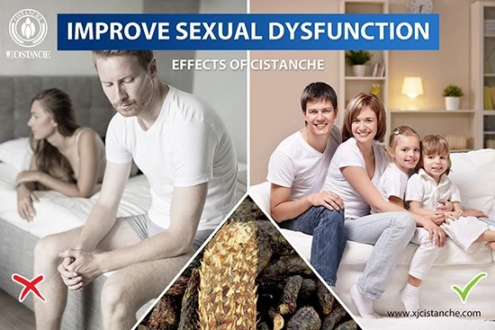 effects of cistanche-improve kidney function 11 effects of cistanche-improve kidney function 11